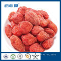 Gefriergetrocknete Erdbeerscheibe exportieren